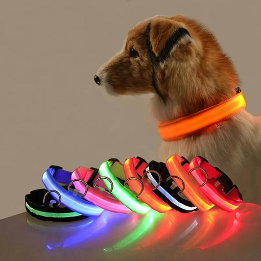 Collar Luminoso Inteligente para Mascotas: Ilumina su Mundo con Estilo y Seguridad